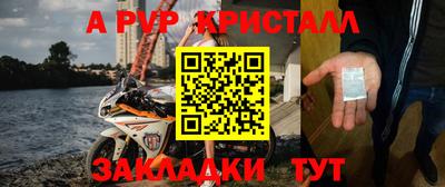 хмурый Тула