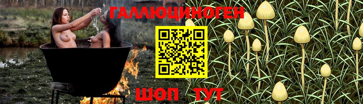 Галлюциногенные грибы GOLDEN TEACHER  купить   Ейск  Вход с VPN 